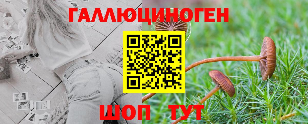 Галлюциногенные грибы мухоморы  Псилоцибиновые грибы Cubensis  Баксан  Вход с VPN 