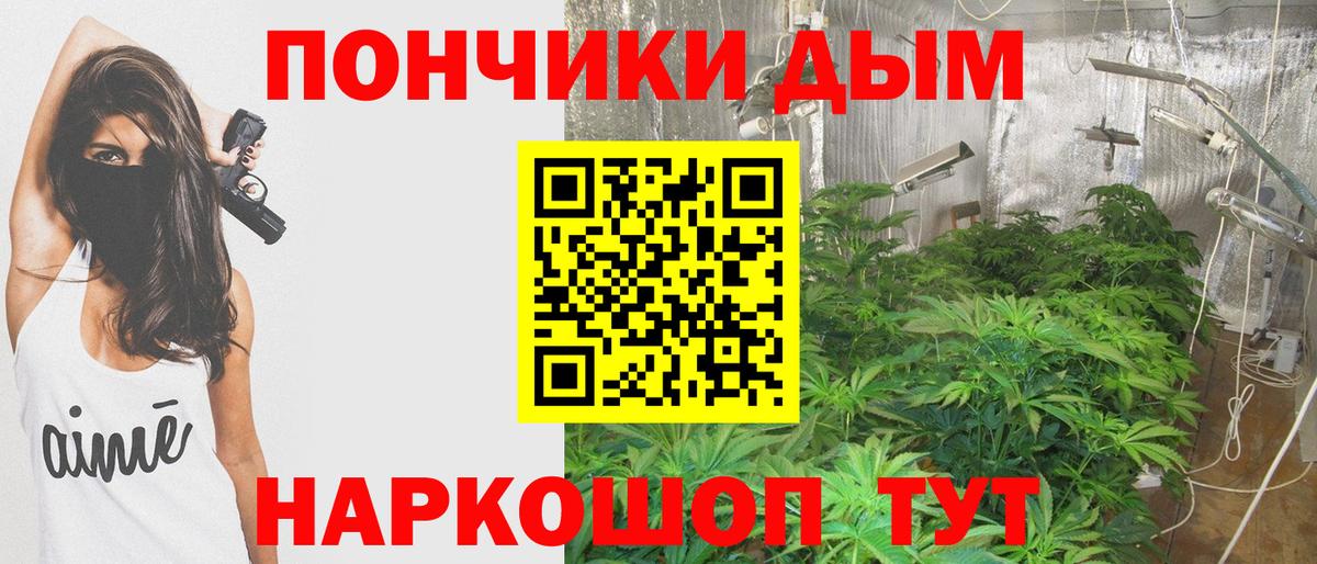 Конопля семена  Марихуана OG Kush  Каннабис конопля  Вход с VPN  Баксан 